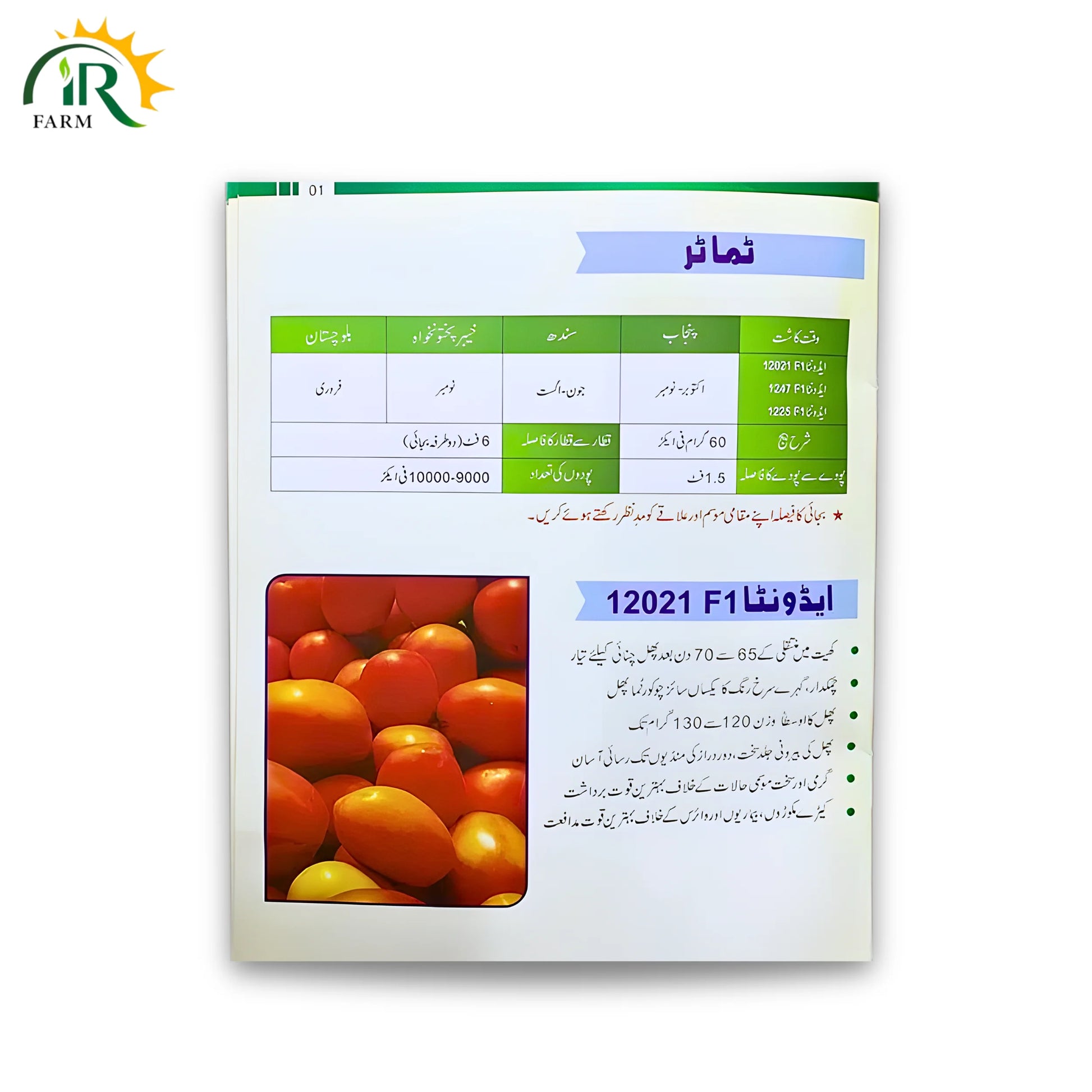 Tomato Advanta 12021 F1 Hybrid Seeds