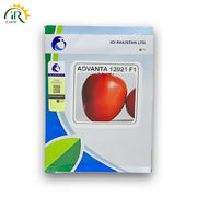 Tomato Advanta 12021 F1 Hybrid Seeds