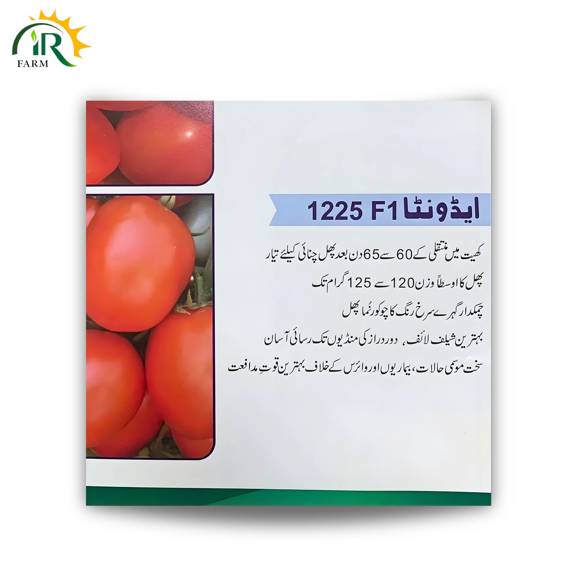 Tomato Advanta 1225 F1 Hybrid Seed
