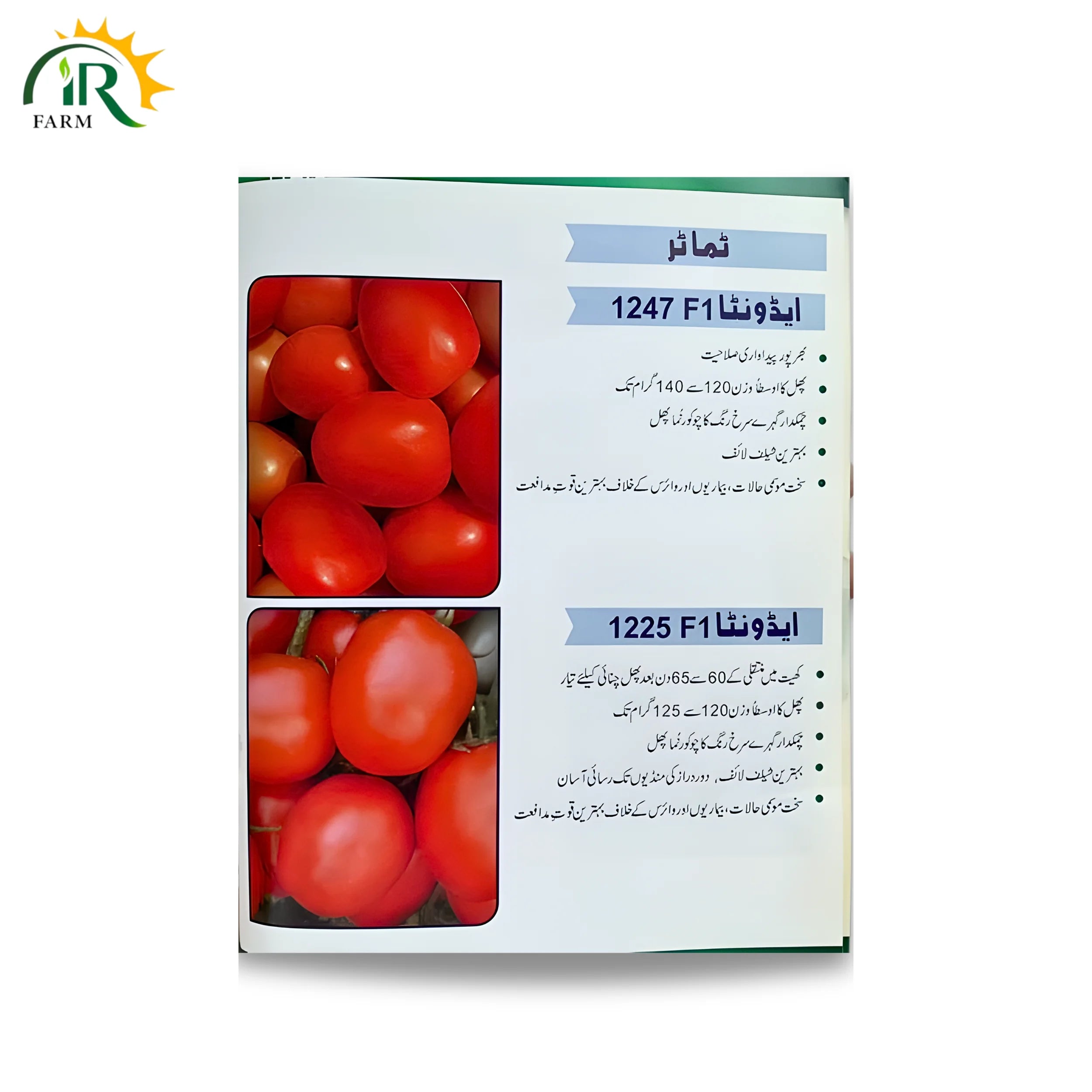 Tomato Advanta 1247 F1 Hybrid Seeds