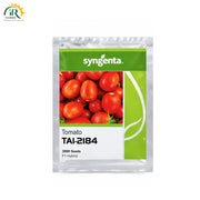 Hybrid Tomato T-2184 Seeds 3000 Seeds – Hybrid Variety for Commercial Cultivation by Syngenta