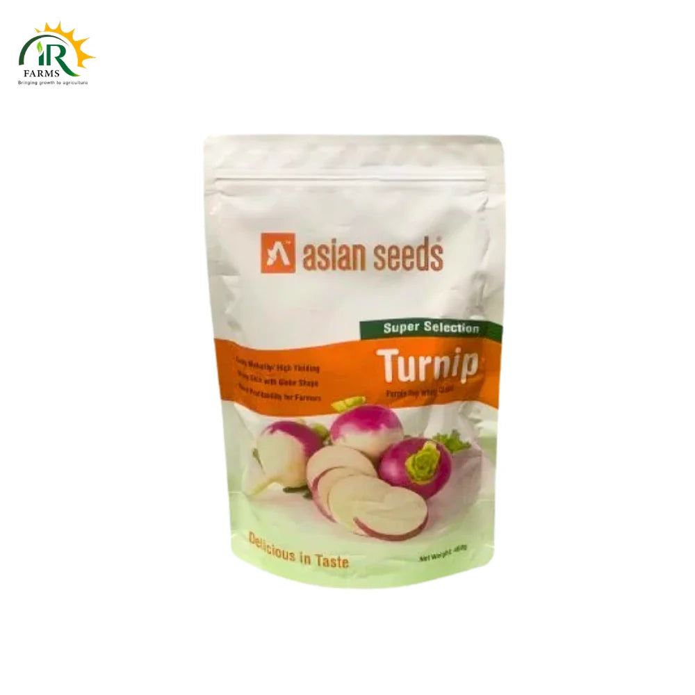 Turnip Purple Top White Globe Super Selection 400gm Asian Seeds NTL