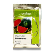 Watermelon WMH 4715 Hybrid Seeds 50GM – High Yield, Sweet & Early Maturity Variety by Syngenta Pakistan