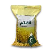 Nishan Bhakhar Super Wheat Seeds – Stable Harvests & Reliable Growth| Evyol Group (50 KG)