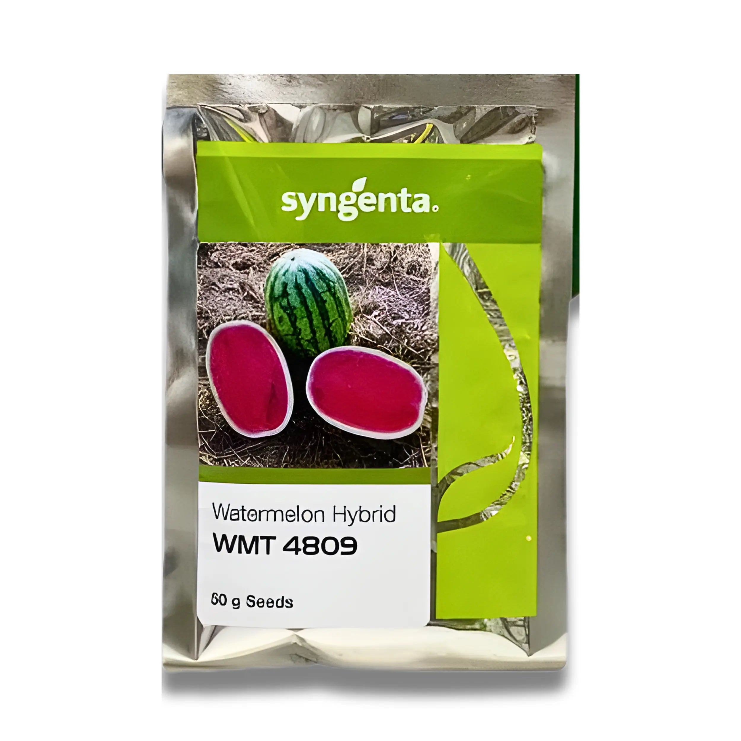 Hybrid Watermelon WMT 4809 Seeds 50GM – High Yield & Sweet Fruit by Syngenta