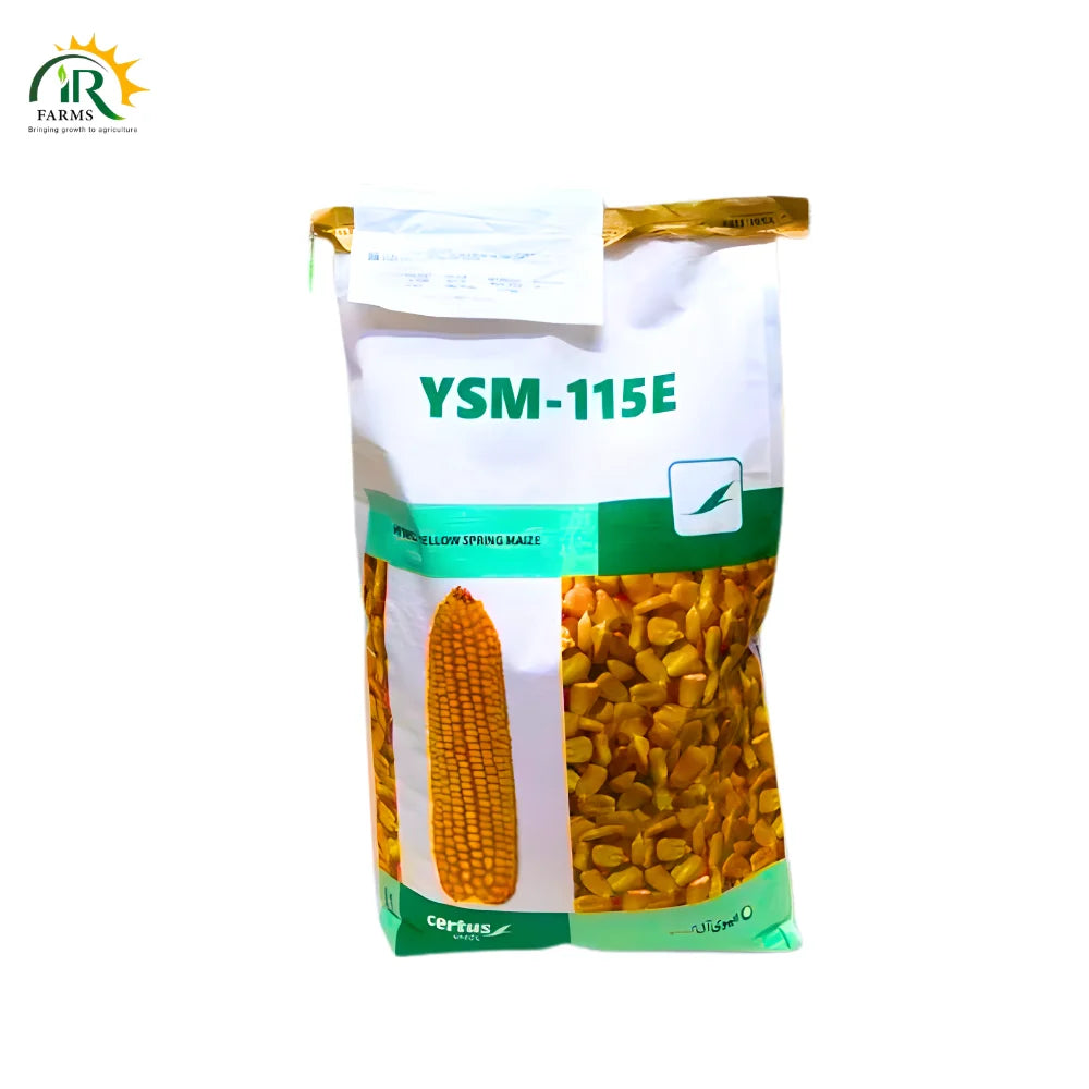 YSM 115E Hybrid Corn/Mazie Seed