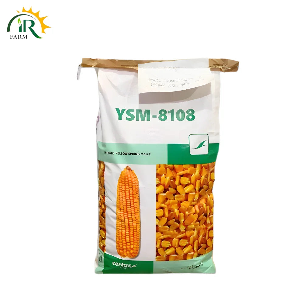 Best YSM 8108 Hybrid Corn Seed for Maximum Silage