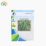 Advanta 509 Chilli F1 – 10gm Hybrid Vegetable Seed | ICI Pakistan Hot Pepper Shehzadi Mirch Beej (Export Quality)