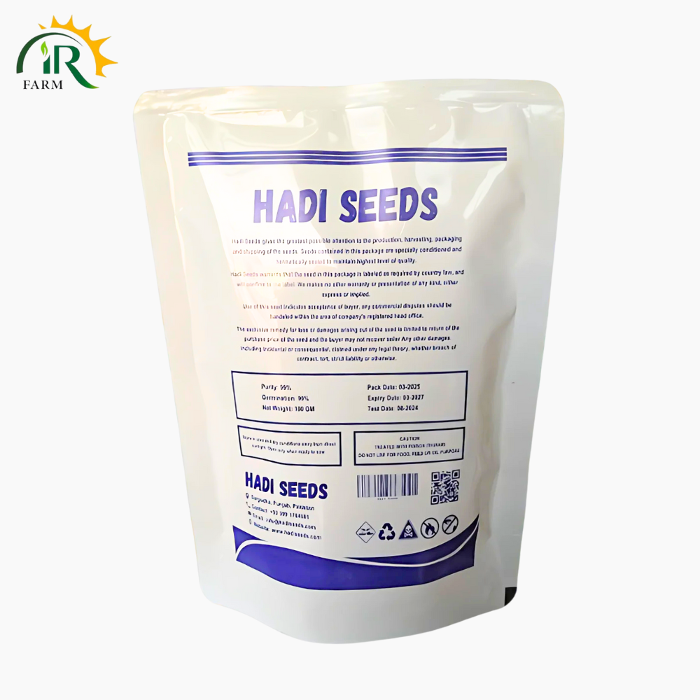 Bulb Kaddu Seed (Bulb Gourd) Safa Variety by Hadi Seeds - 100g Pack | Poison Treated