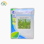 Okra Advanta 828 F1 – 100GM Hybrid Bhindi Seed | ICI Pakistan LCI