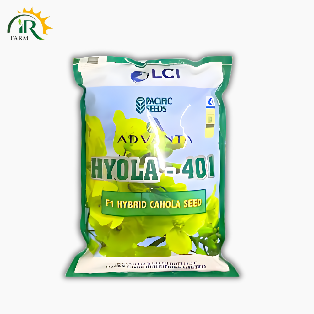 Hyola-401 1kg – F1 Hybrid Canola Seed by ICI | High-Yield Double Zero Canola (LCI Pakistan)
