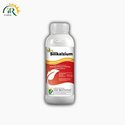 Silikalzium Micronutrient Foliar Spray – Calcium 32% + Silicon 18% | Swat Agro Spachem Spain