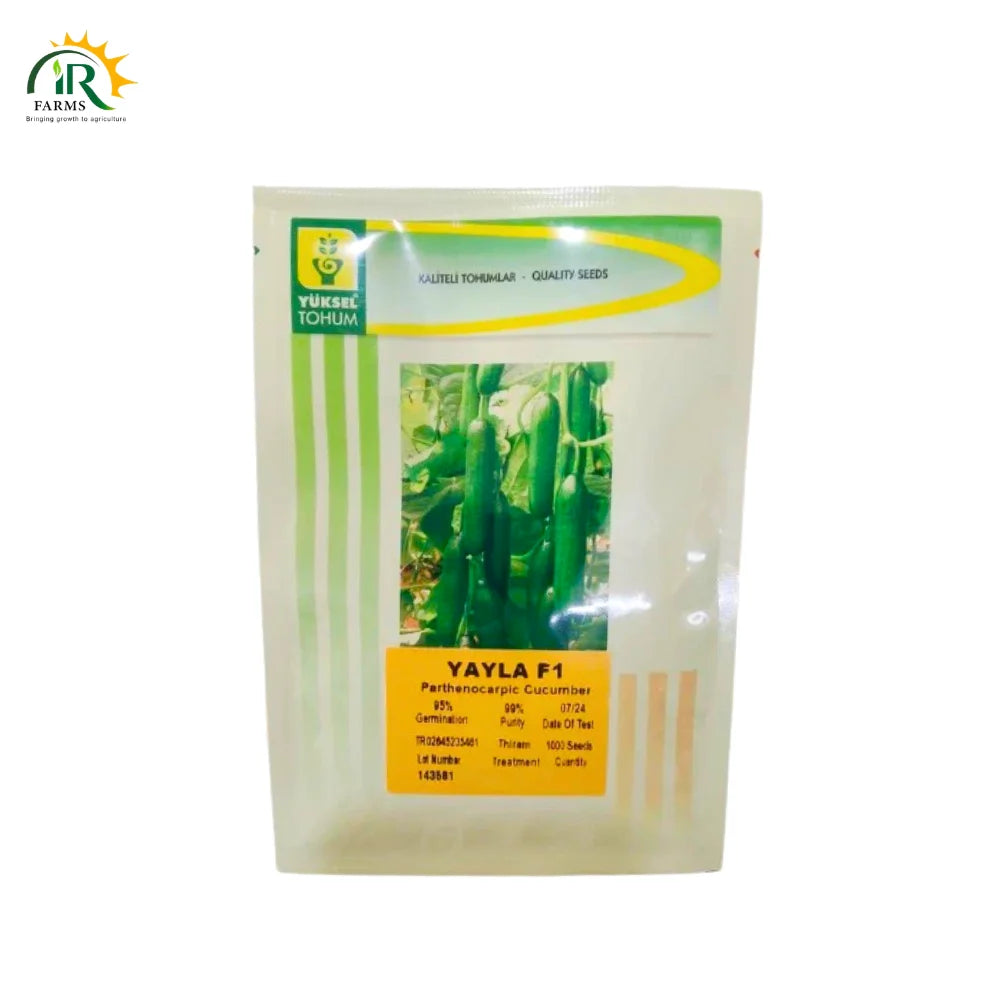 Yuksel Yayla F1 Cucumber Seeds Parthenocarpic