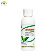 Zhengbang Bio Stimulant 100ML 14 - Hydroxylated Brassinosteroid plant growth regulator