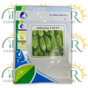 Advanta 110 F1 Hybrid Karela – Bitter Gourd Seeds 50gm | ICI Pakistan | High Yield, Disease Resistant, Tunnel Sowing Hybrid