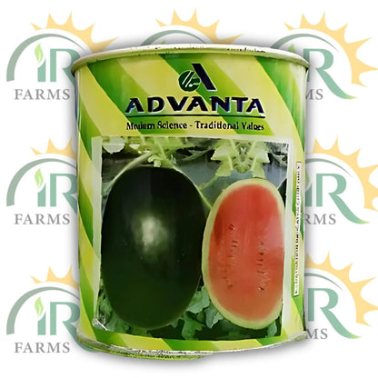 1431 Advanta F1 Hybrid Watermelon Seeds – 50gm | ICI Pakistan LCI | High Yield Sweet Red Melon