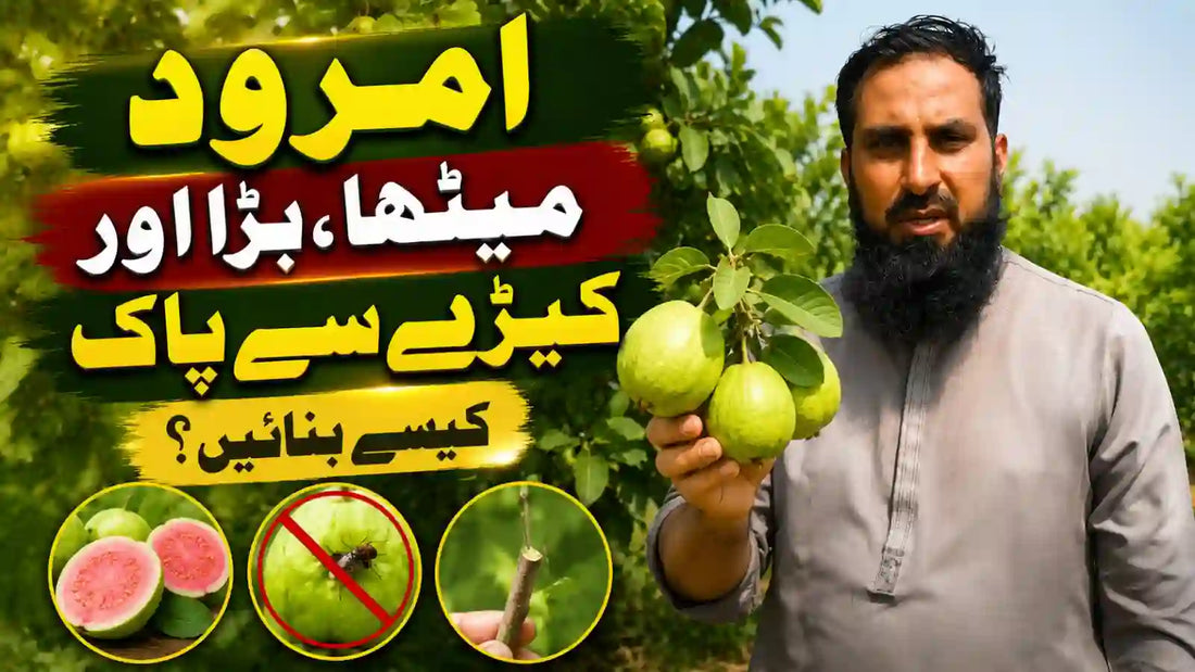 IR Farm | Best Online Agriculture Store In Pakistan
