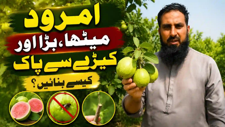 IR Farm | Best Online Agriculture Store In Pakistan