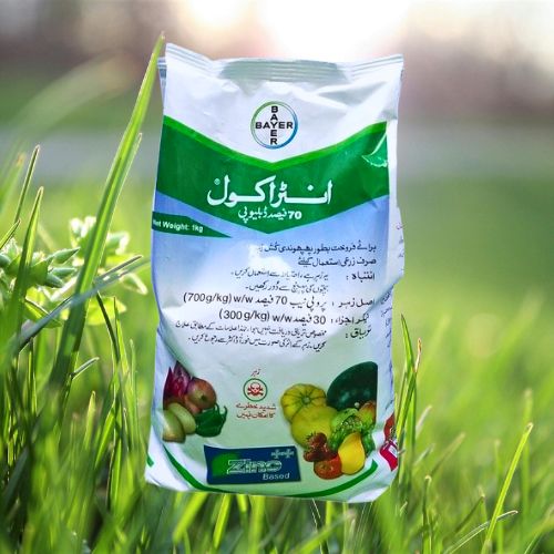 A packet of Antracol Bayer Fungicide 70 WP