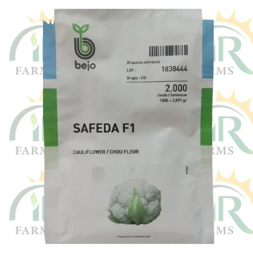 bejo cauliflower seeds 