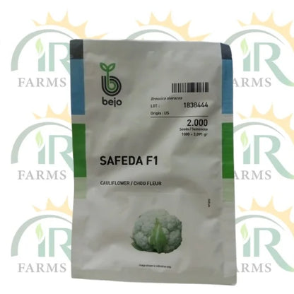 bejo safeda f1 caulilower seeds