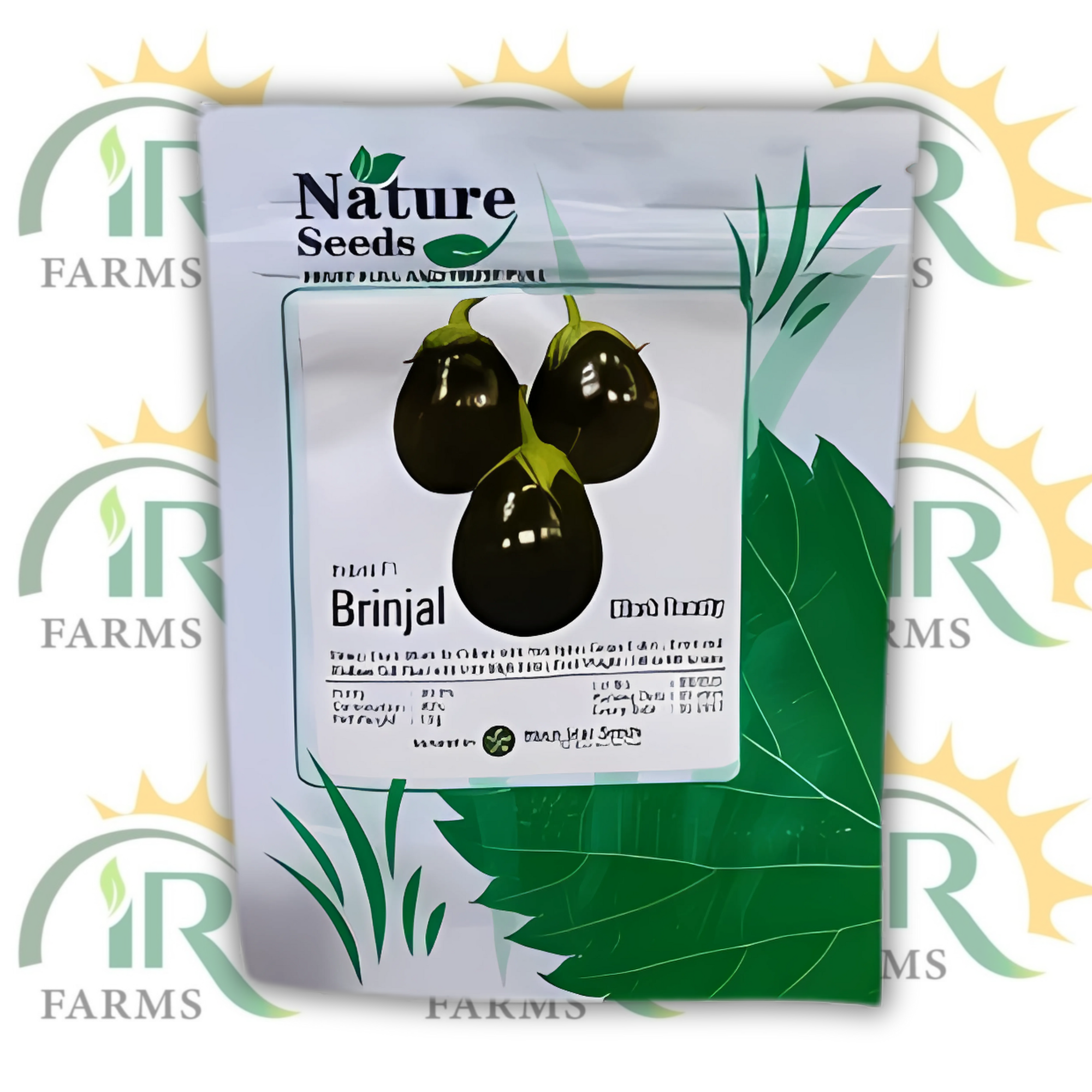 Brinjal F1 Hybrid Seeds – Black Beauty (10GM) | High Yield Eggplant | Moonstar Superior Seeds