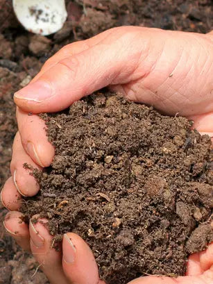 IR Farm | Best Online Agriculture Store In Pakistan