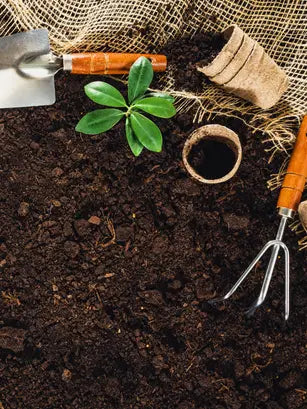 IR Farm | Best Online Agriculture Store In Pakistan