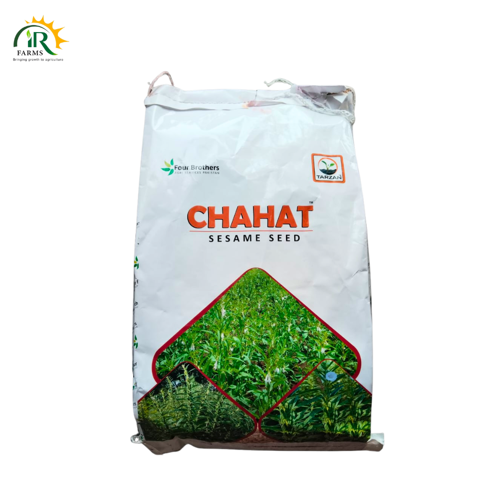 Sesame Seed 2kg 