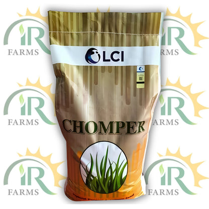 Chomper/Feedmaster 10kg – ICI Advanta Hybrid Forage Sorghum Seed (Jumbo Jawar | Multicut Fodder Seed)
