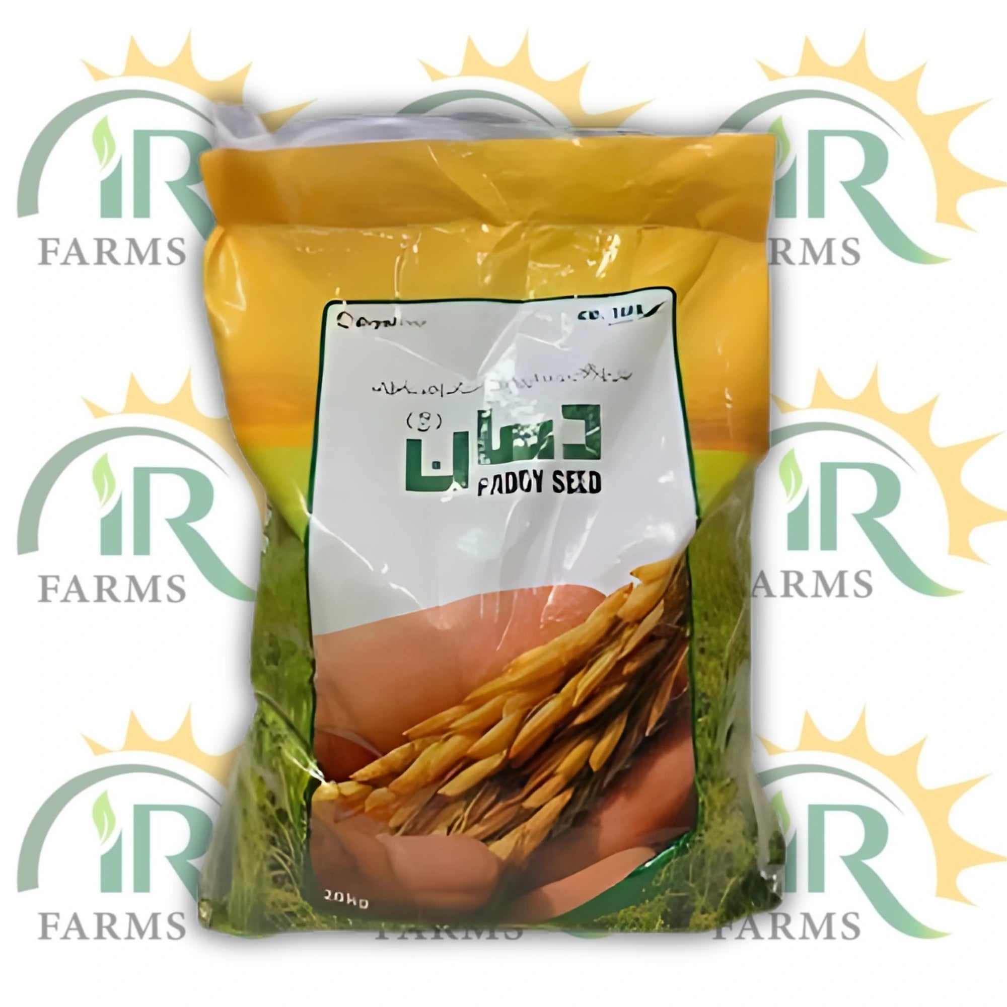 Rice seed Super Gold 20kg type BASMATI Rice Seed Paddy Seed, For Early Sowing Beej Munji Chawal EVYOL GROUP Combagar Certus seed