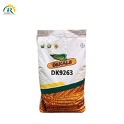 DK 9263 Hybrid Maize Seed 10kg By Bayer Dekalb - High-Yield, Heat-Tolerant Commercial Field Corn Seed