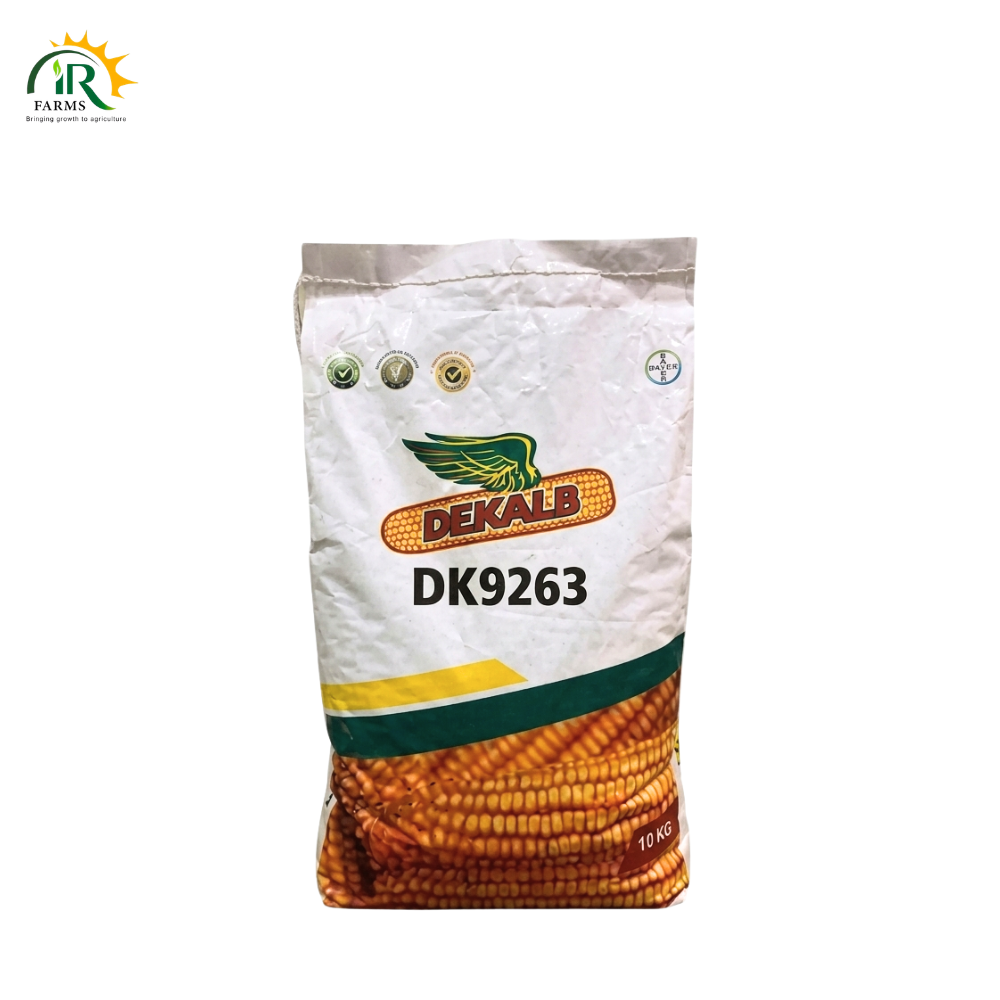 DK 9263 Hybrid Maize Seed 10kg By Bayer Dekalb - High-Yield, Heat-Tolerant Commercial Field Corn Seed