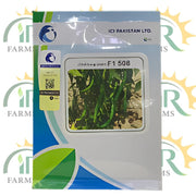 Advanta 508 Chilli F1 – 10gm Long Green Hybrid Seed | ICI Pakistan Shehzadi Mirch Beej (Export Quality)