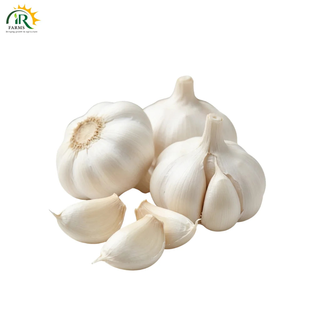 Garlic (Lehsun) Hernai Seeds