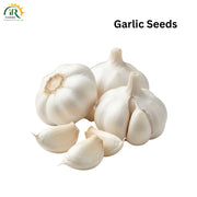 garlic seeds