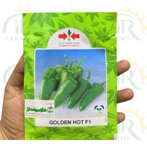 golden hot f1 chilli seed haji sons