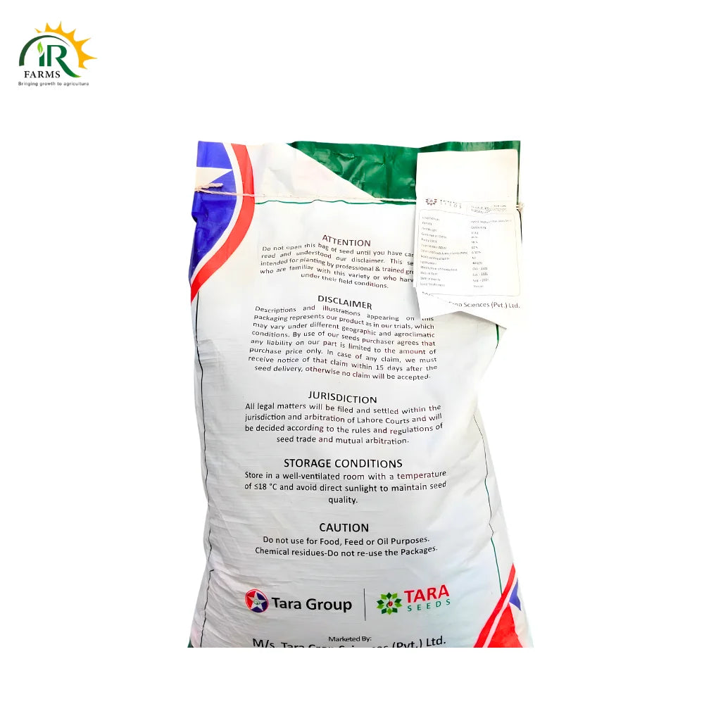 Green King Hybrid Sorghum Sudan Grass (Jawar) 