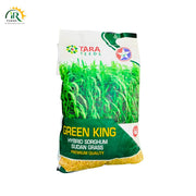Green King Hybrid Sorghum Sudan Grass (Jawar) 