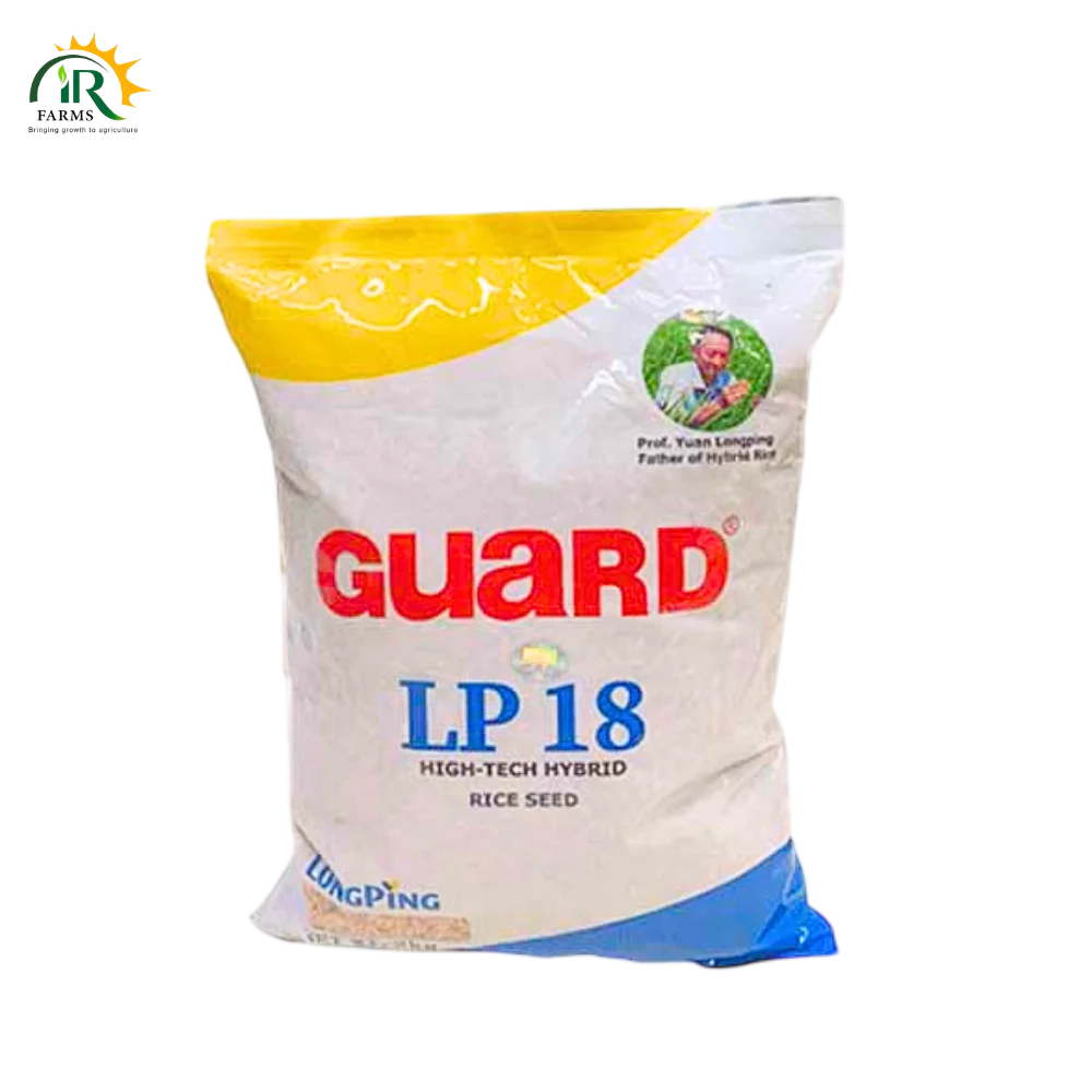 LP 18 Hybrid Rice Seed 2kg