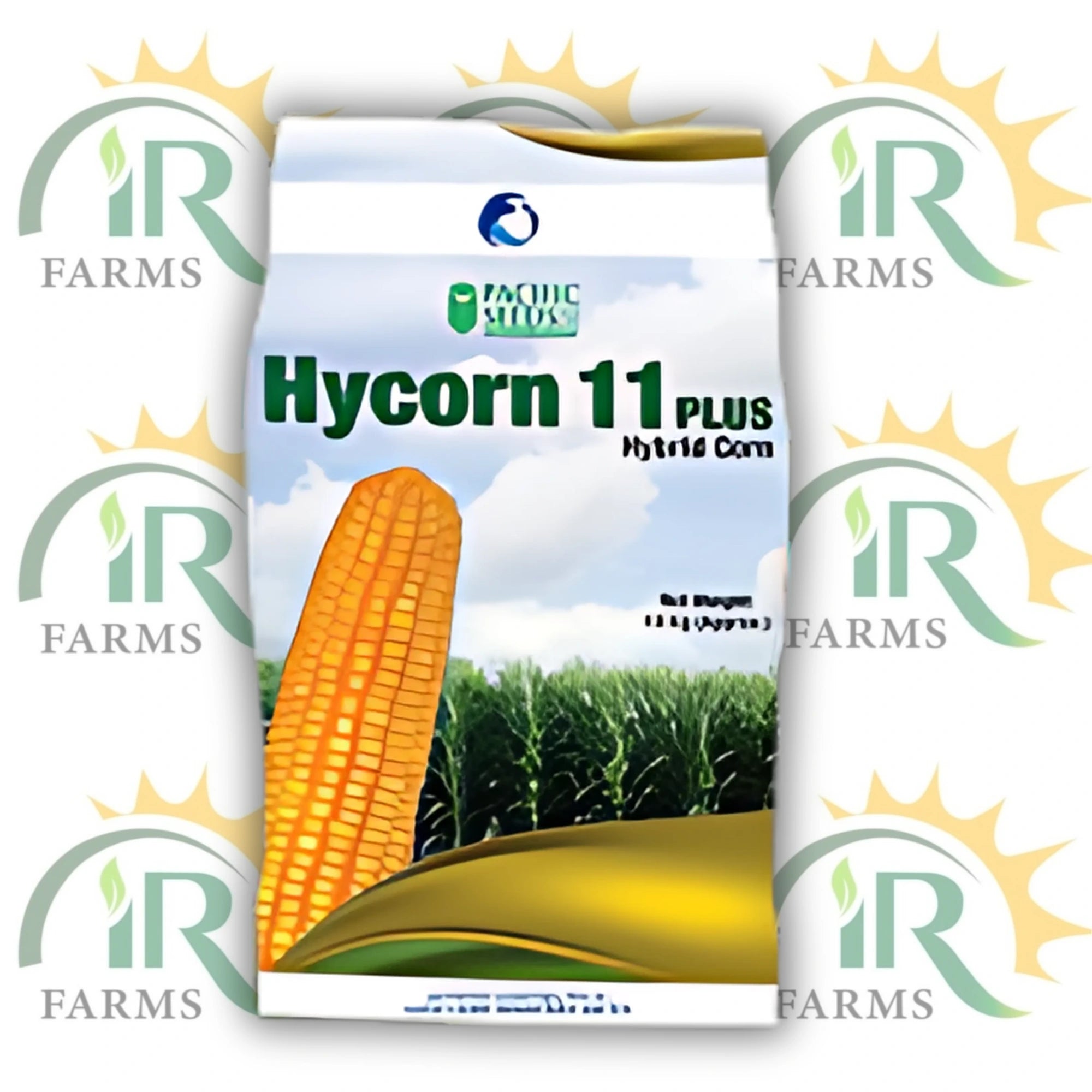 Hycorn 11 Plus 10KG – Hybrid Corn Seed for Silage & Grain | ICI Advanta Pacific Seeds