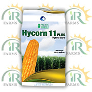 Hycorn 11 Plus 10KG – Hybrid Corn Seed for Silage & Grain | ICI Advanta Pacific Seeds
