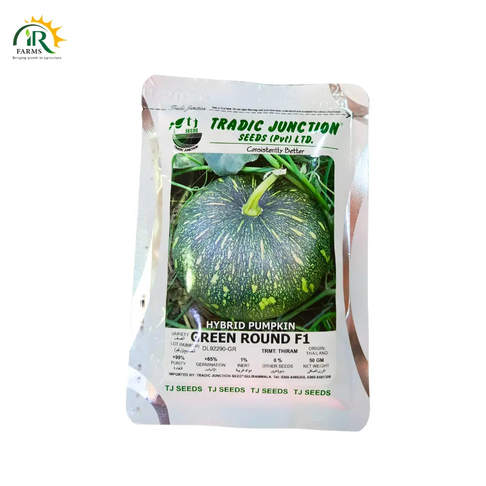 Green Round F1 Hybrid Pumpkin Seed