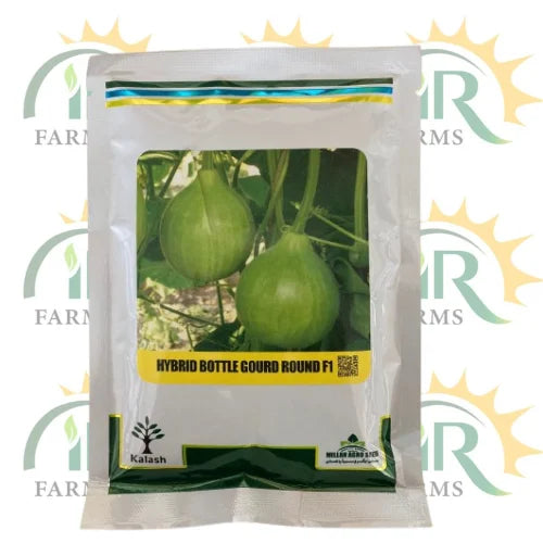 hybrid bottle gourd round f1 50 gram kaddu seed by kalash milan agro seeds