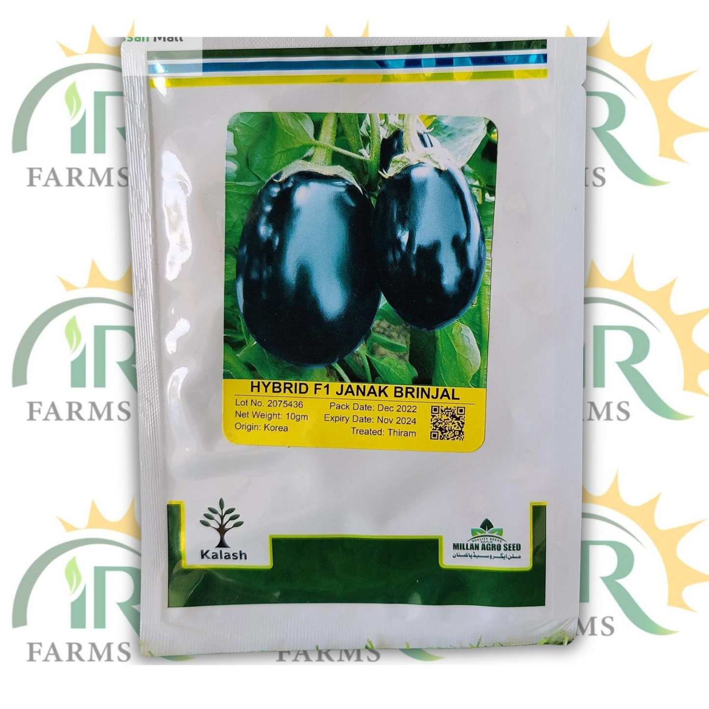 Hybrid Brinjal