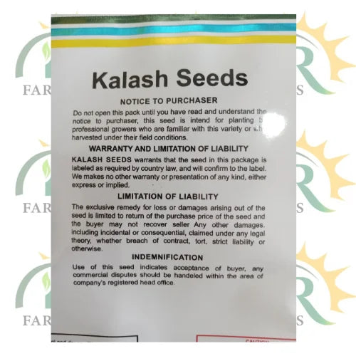 hybrid f1 red jumbo tomato kalash by millan agro