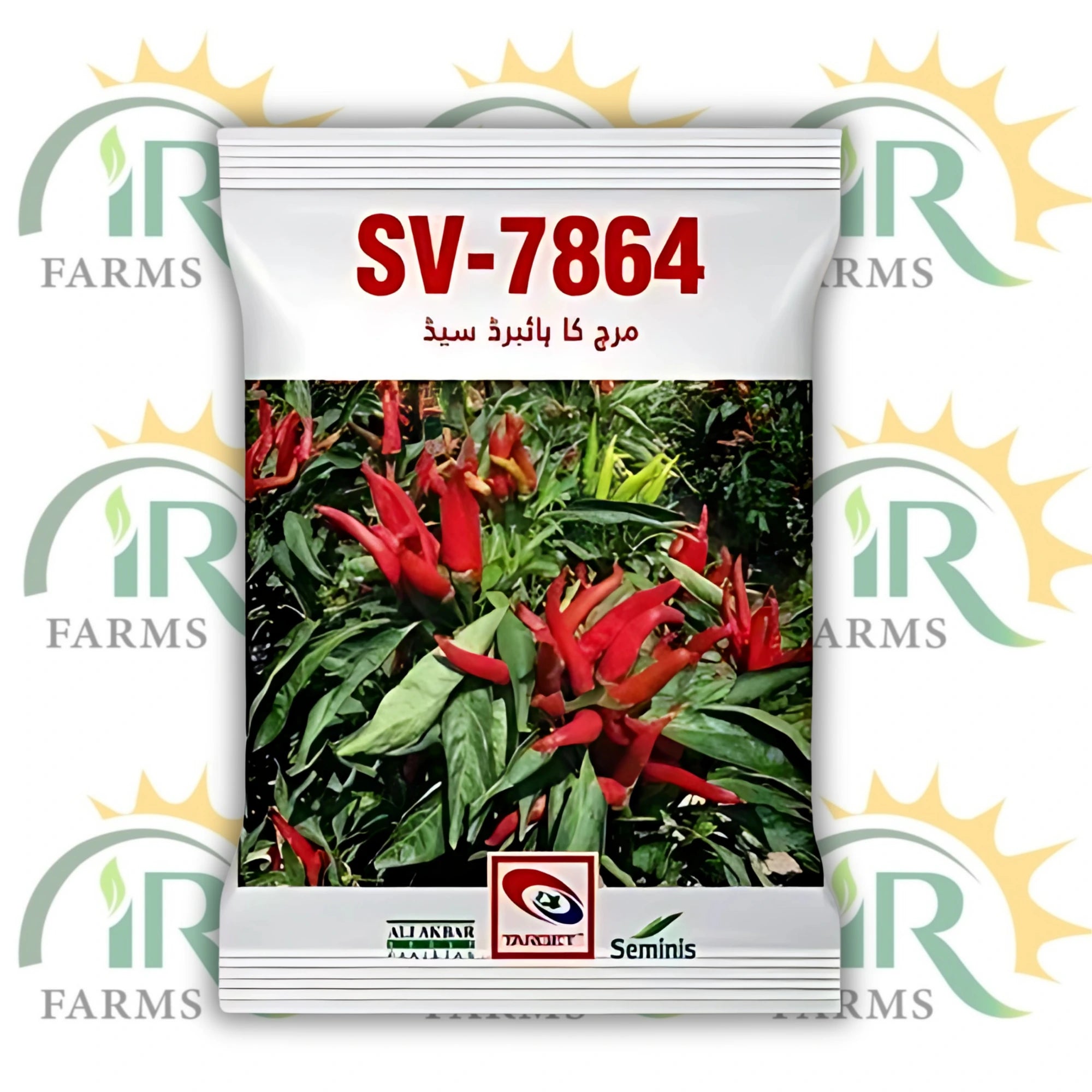Hybrid Hot Pepper SV 7864 F1 – 10gm Chilli Seeds by Seminis | High Yield, Disease-Resistant