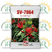 ہائبرڈ گرم مرچ SV 7864 F1 - 10 گرام مرچ کے بیج بذریعہ Seminis | اعلی پیداوار، بیماری مزاحم