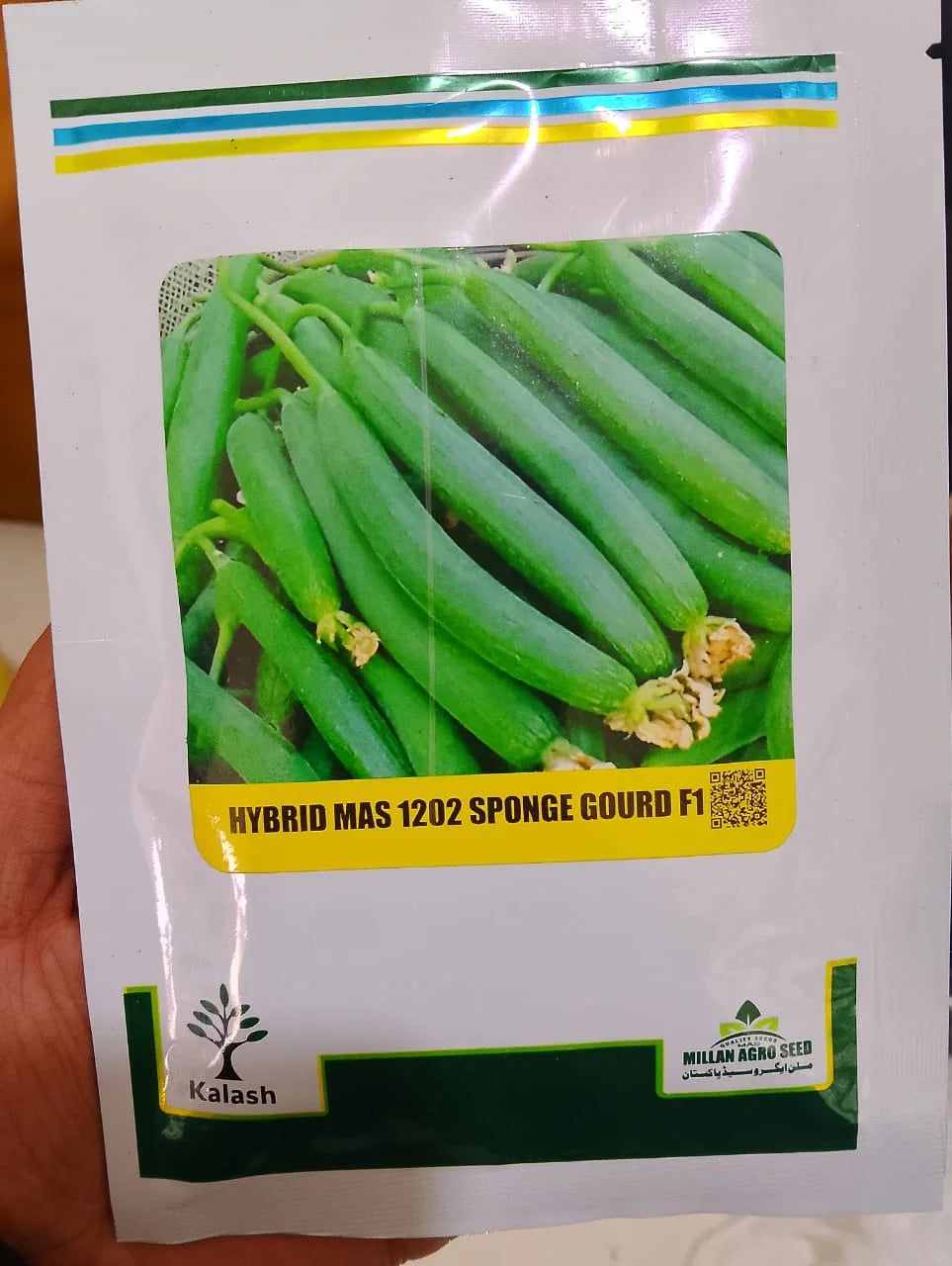 hybrid sponge gourd f1 seed millan agro seed