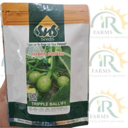 hybrid squash triple ball f1 seeds by sns seeds